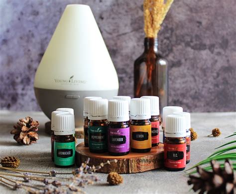 Kamu bisa membuat kombinasi dari berbagai essential oil milikmu dengan resep diffuser young living berikut ini: Pengalaman Menggunakan Essential Oil Young Living | Hujanpelangi Blog