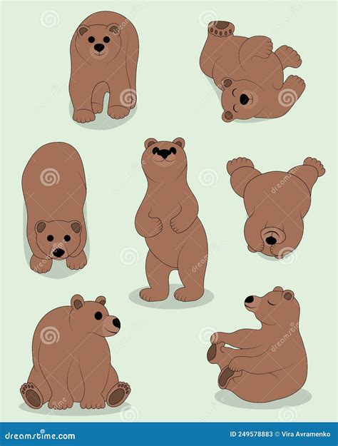 Cute Brown Bear Set In Different Poses Stock Vector Illustration Of