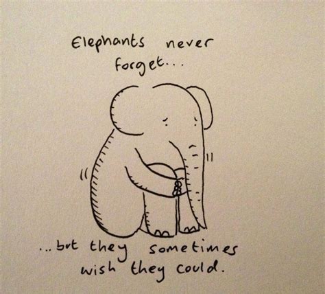 pin by ivory for elephants on elephants elephants never forget elephant quotes elephant love
