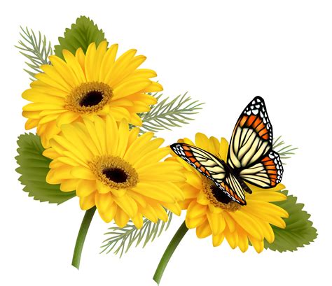 Gerberas Clipart 20 Free Cliparts Download Images On Clipground 2024