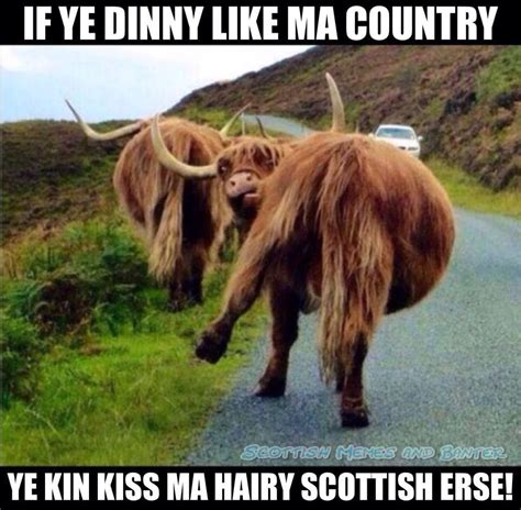 True Story Scotland Funny Scotland History Scottish Heritage