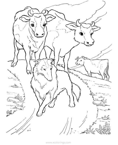 Cows And Dogs Coloring Pages