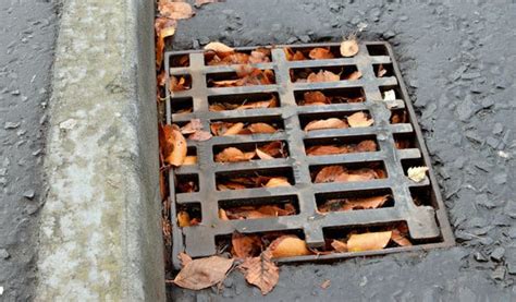 Top 6 Causes Of A Blocked Drain Steve Hastings Drain Services