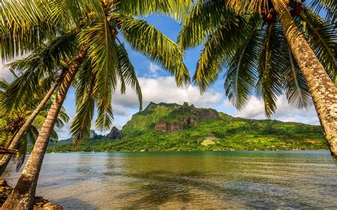 Download Wallpaper For X Resolution Nature Landscape Sky Island Bora Bora Palm
