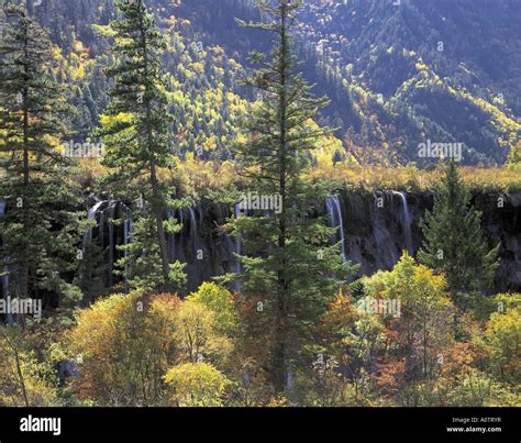 Nuorilang Waterfall Jiuzhaigou World Heritage Stock Photo Alamy