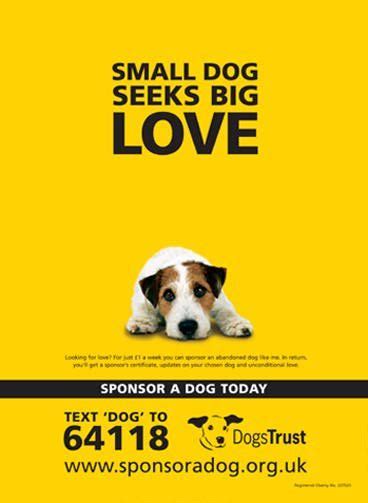 Dogs Trust Telling Your Story Dog Charities Dogs Dogs Trust
