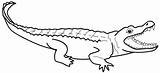 Coloring Alligator Crocodile Outline Drawing Printable Alligators Nile Cartoon Caiman Clipart Cute Colouring Cliparts Clipartmag Getcolorings Animal Drawings Getdrawings Coloringpages101 sketch template