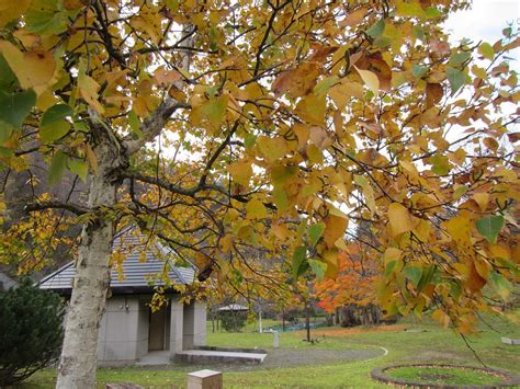 Kamisunagawa Town Suigen Park Kamisunagawa Cho ญี่ปุ่น รีวิว