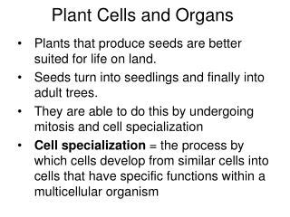 PPT Plant Cells Tissues And Organs PowerPoint Presentation Free