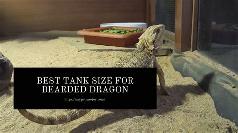 How To Pick The Best Tank Size For Your Bearded Dragon Chart