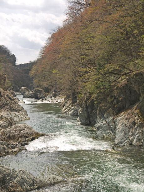 160 Tone River Japan Stock Photos Pictures And Royalty Free Images Istock