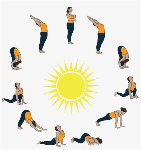 Sun Salutation Complete Sun Salutation Yoga Cartoon Transparent Png