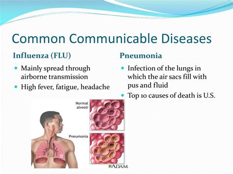 Ppt Communicable Diseases And Prevention Powerpoint Presentation