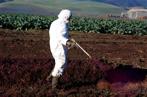 Reject Monsantos New Pesticide Resistant Crops Monsanto Pesticide Herbicide