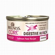 Wellness CORE Digestive Health Pate Salmon Wet Cat Food 3oz » Nekojam | Singapore Online Pet ...