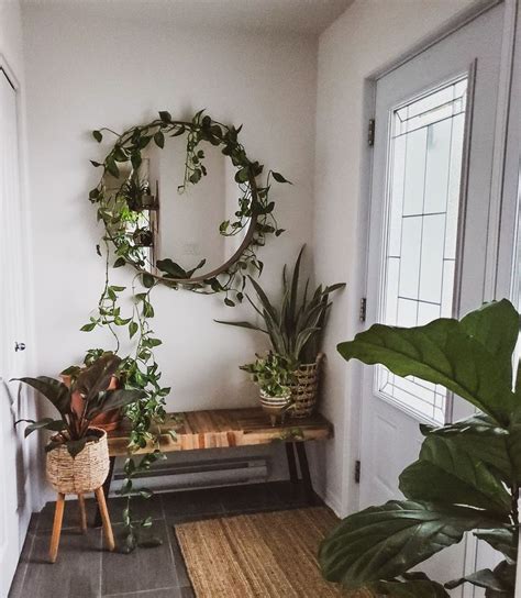 27 Great Ways To Decorate With Plants