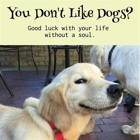 Enough Said Cute Dog Memes Dog Jokes Funny