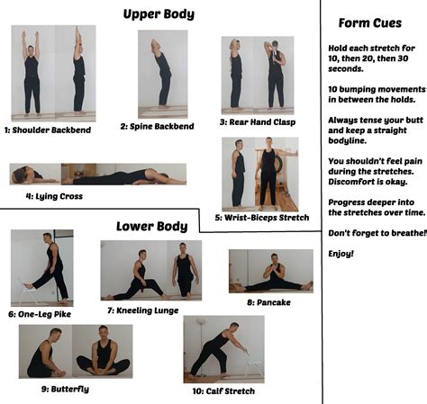 Full Body Stretching Exercises For Flexibility Easy Perfectabsworkout
