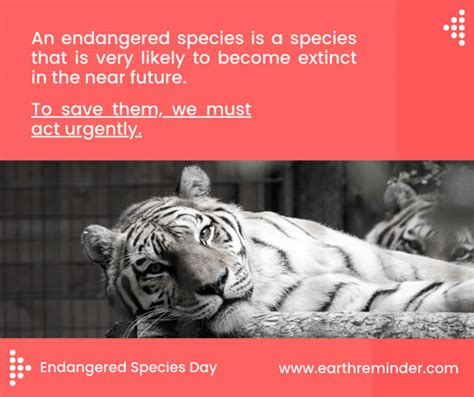 Endangered Species Day History Events And Celebrations Earth Reminder