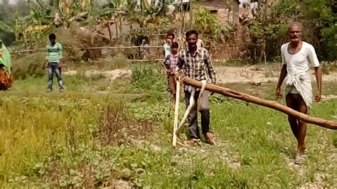 Gehuman Snake In Village Ajeet Youtube
