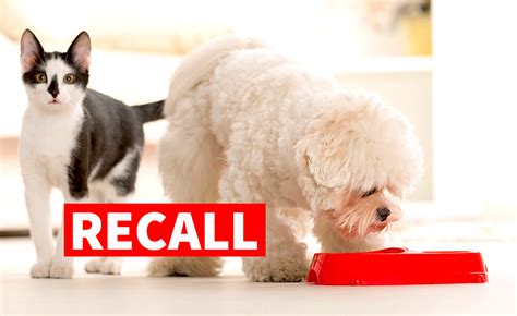 All 2019 cat & dog food recalls and the reason they're recalled. Warning: Do Not Buy or Feed ANY Pig Ear Pet Treats