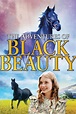 The Adventures of Black Beauty (TV Series 1972-1974) - Posters — The ...