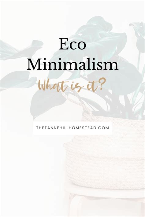 Eco Minimalism What It Means To Be An Eco Friendly Minimalist