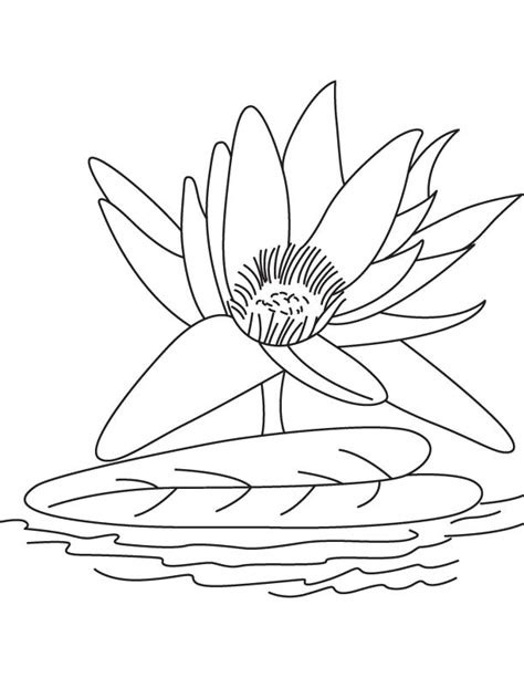 Click the download button to see the full image of monet. Big water lily flower coloring page | Download Free Big ...