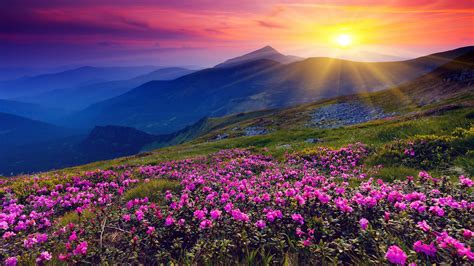 Colorful Autumn Sunrise In The Carpathian Mountains Wallpaper