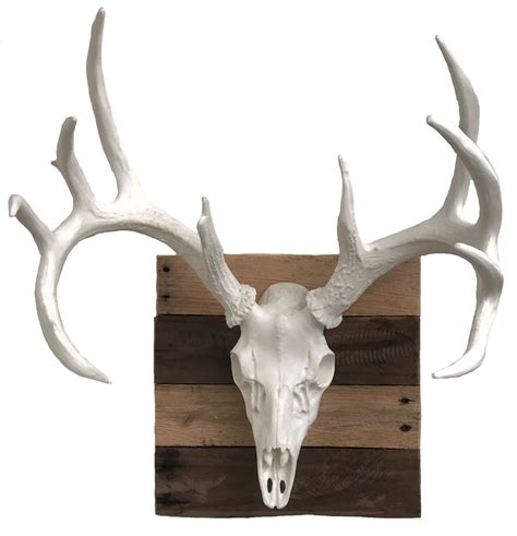 Whitetail Deer European Mounts Cast Horn Designs