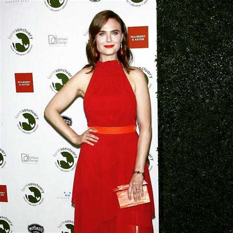 Hottest Emily Deschanel Bikini Pictures Shows God Took Sweet Time To