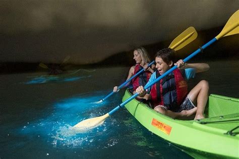 2023 Sunset Bioluminescent Bay Kayaking
