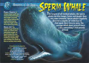 Sperm Whale Weird N Wild Creatures Wiki Fandom