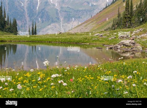 Canada British Columbia Selkirk Mountains Marmot Lake Reflection