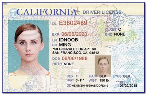 Fake Drivers License Template