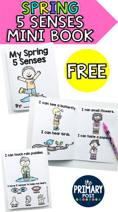 Spring 5 Senses Mini Book Freebie The Primary Post