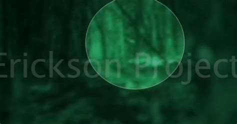 New Video Suggests Bigfoot Might Really Exist