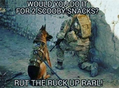 Pin By Sherri Tyler On Laugh Out Loud Military Humor Military Jokes