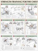 Photos of Dumbbell Chest Exercises