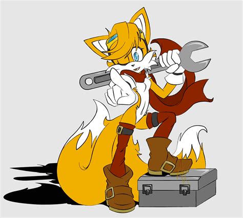 Bromance Ariciul Sonic Sonic Forces Rule Sonic Boom Tails Fan