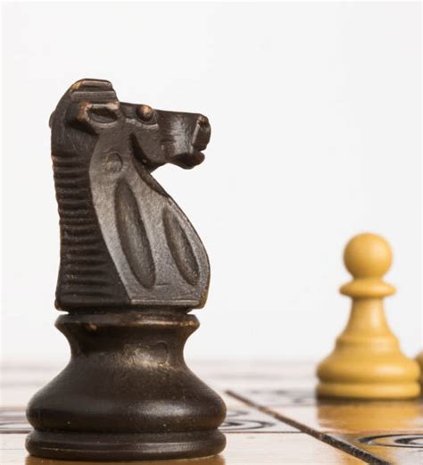 Best Horse Chess Piece Stock Photos Pictures And Royalty Free Images