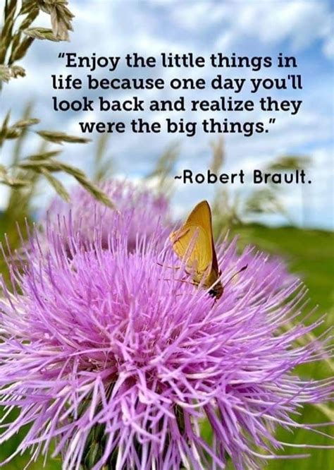 Pin By Pelvia Lee Moore On Butterfly Luv Life Looking Back Enjoyment