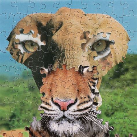 Puzzle Montage Art By Tim Klein