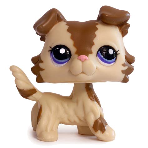Lps Database Search Collie Lps Merch
