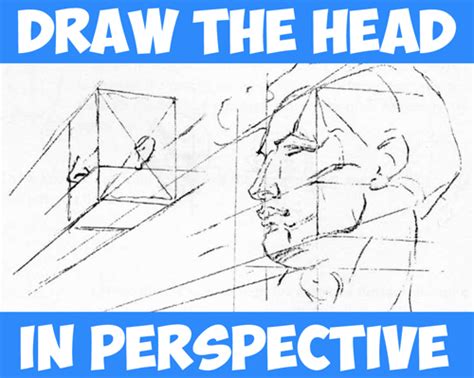 How To Draw The Head In Perspective Drawing Human Head