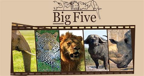 Big Five Safari In Kenya Kenya Safaris Tours Kenya Tours