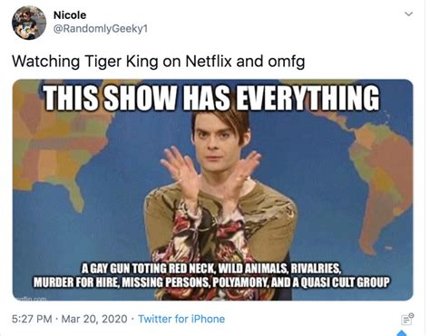 the 32 best tiger king memes so far darcy