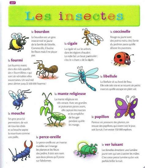 Épinglé Par Yolène Valla Sur Les Petites Bêtes Insectes France