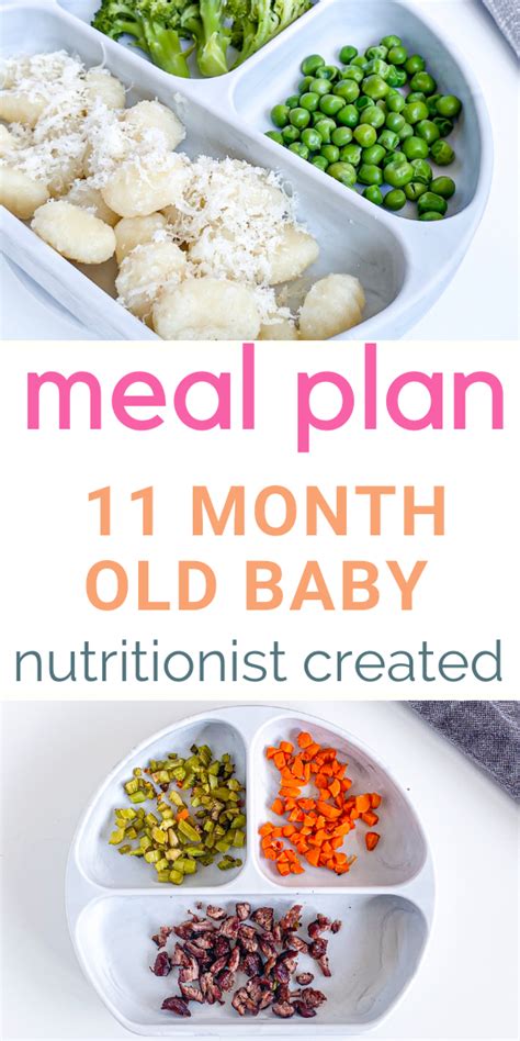 11 Month Old Meal Plan Baby Food Ideas Recipes And Schedule Artofit