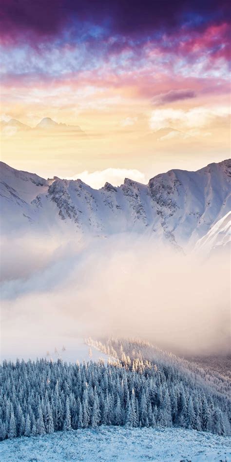 Download 1080x2160 Wallpaper Landscape Mountains Winter Forest
